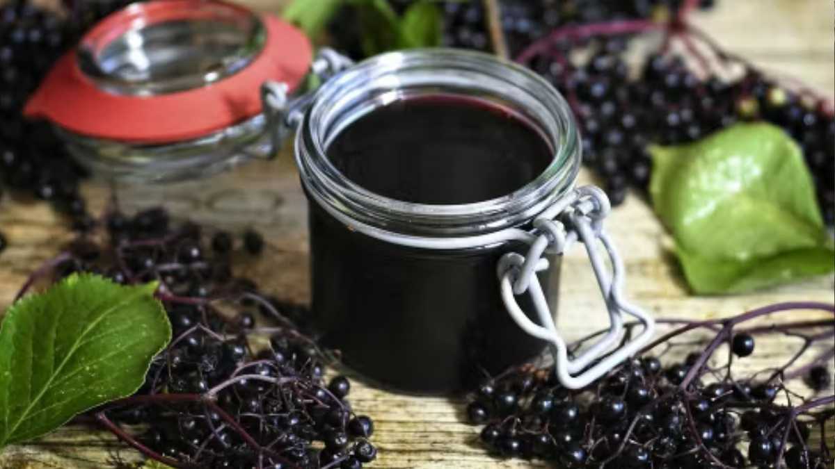 Holundergelee: Rezept für den fruchtigen Aufstrich - Mehr für Elle